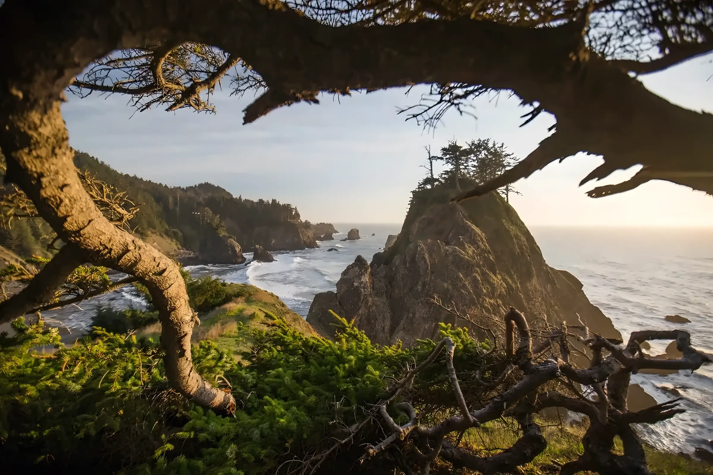 Rugged Oregon coastline